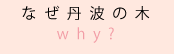 なぜ丹波の木